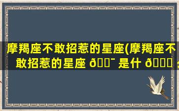 摩羯座不敢招惹的星座(摩羯座不敢招惹的星座 🐯 是什 🐘 么)
